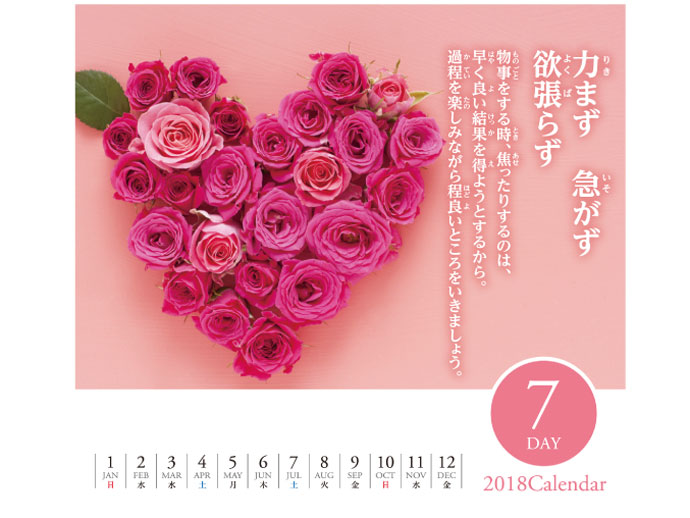 7日なし