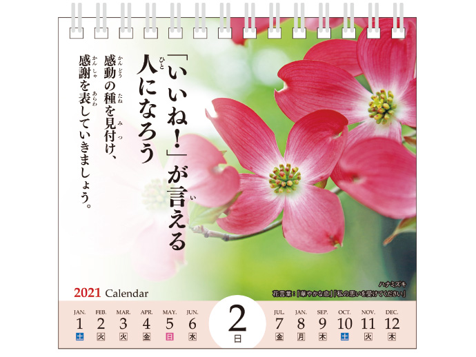 卓2日